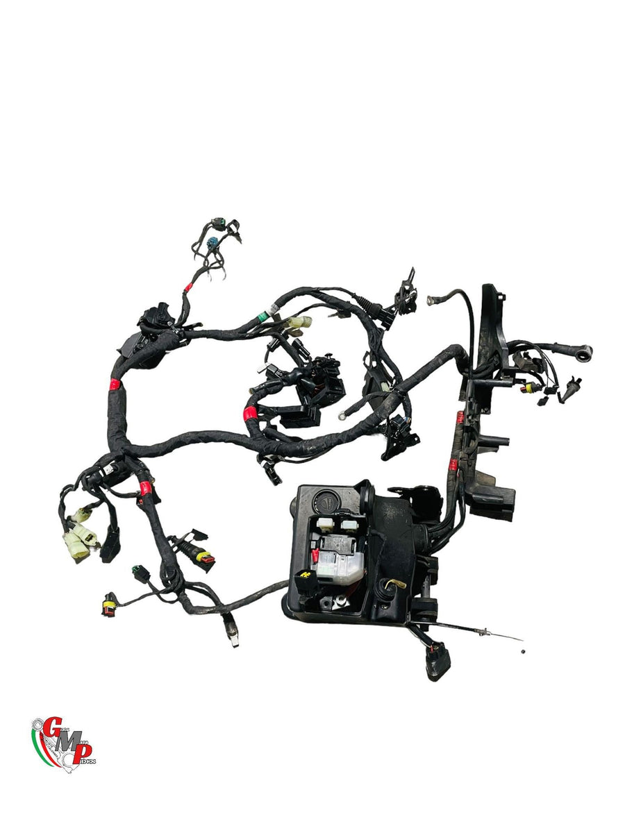 Faisceau Electrique Principal - Ducati