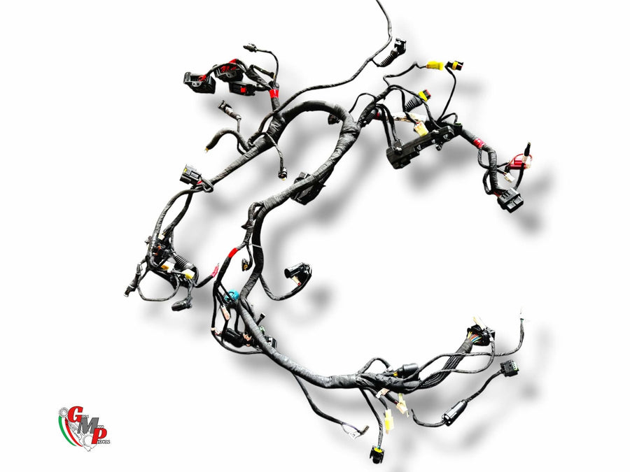 Faisceau Electrique Principal - Ducati