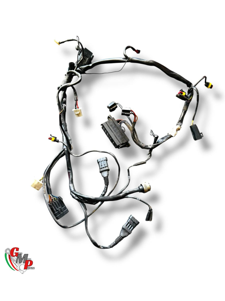 Faisceau électrique - Ducati
