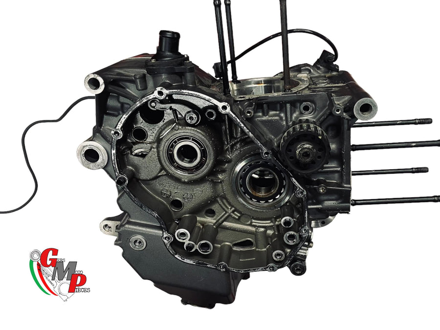 Paire Carter Moteur - Ducati