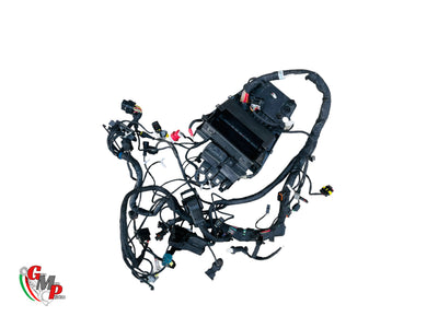 Faisceau Electrique Principal Complet - Ducati