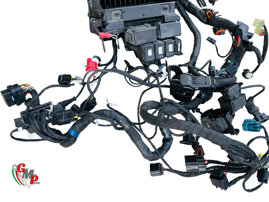 Faisceau Electrique Principal Complet - Ducati