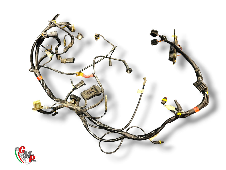 Faisceau Electrique - Ducati
