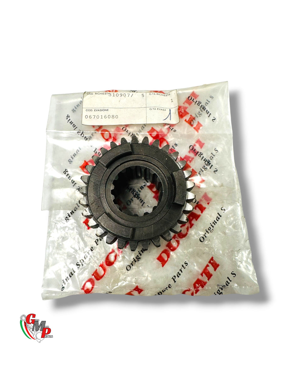 Pignon Boite D29 NEUF - Ducati