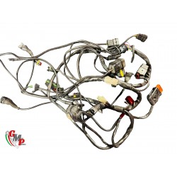 Faisceau électrique Complet...