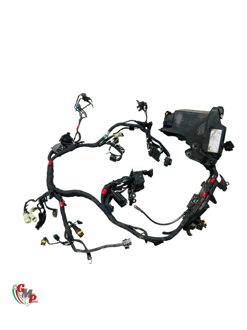 Faisceau Electrique Principal - Ducati