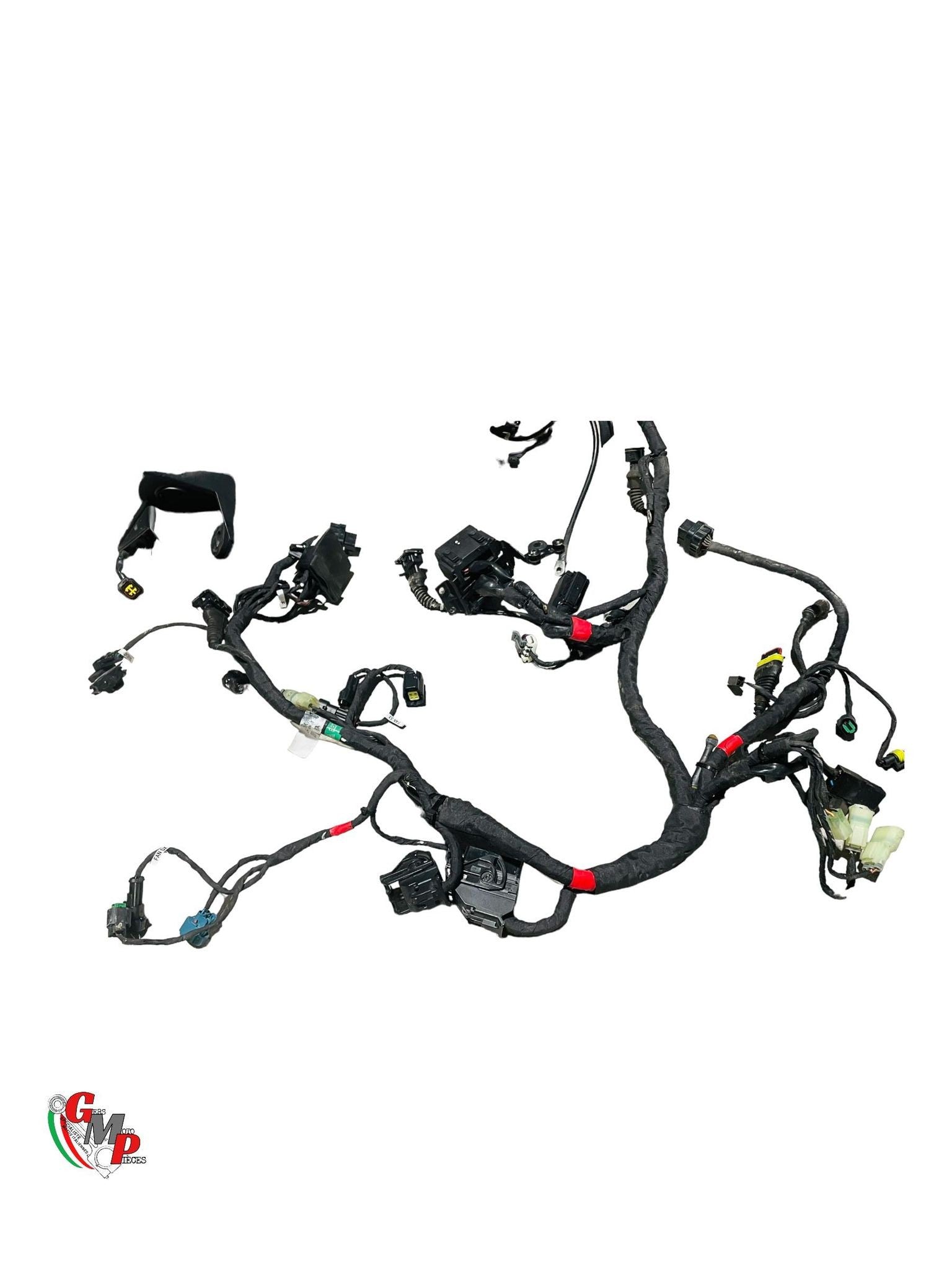 Faisceau Electrique Principal - Ducati