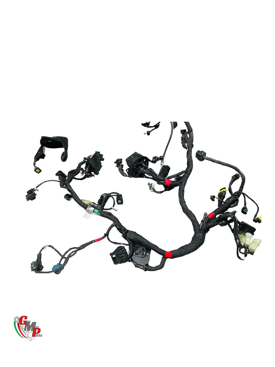 Faisceau Electrique Principal - Ducati