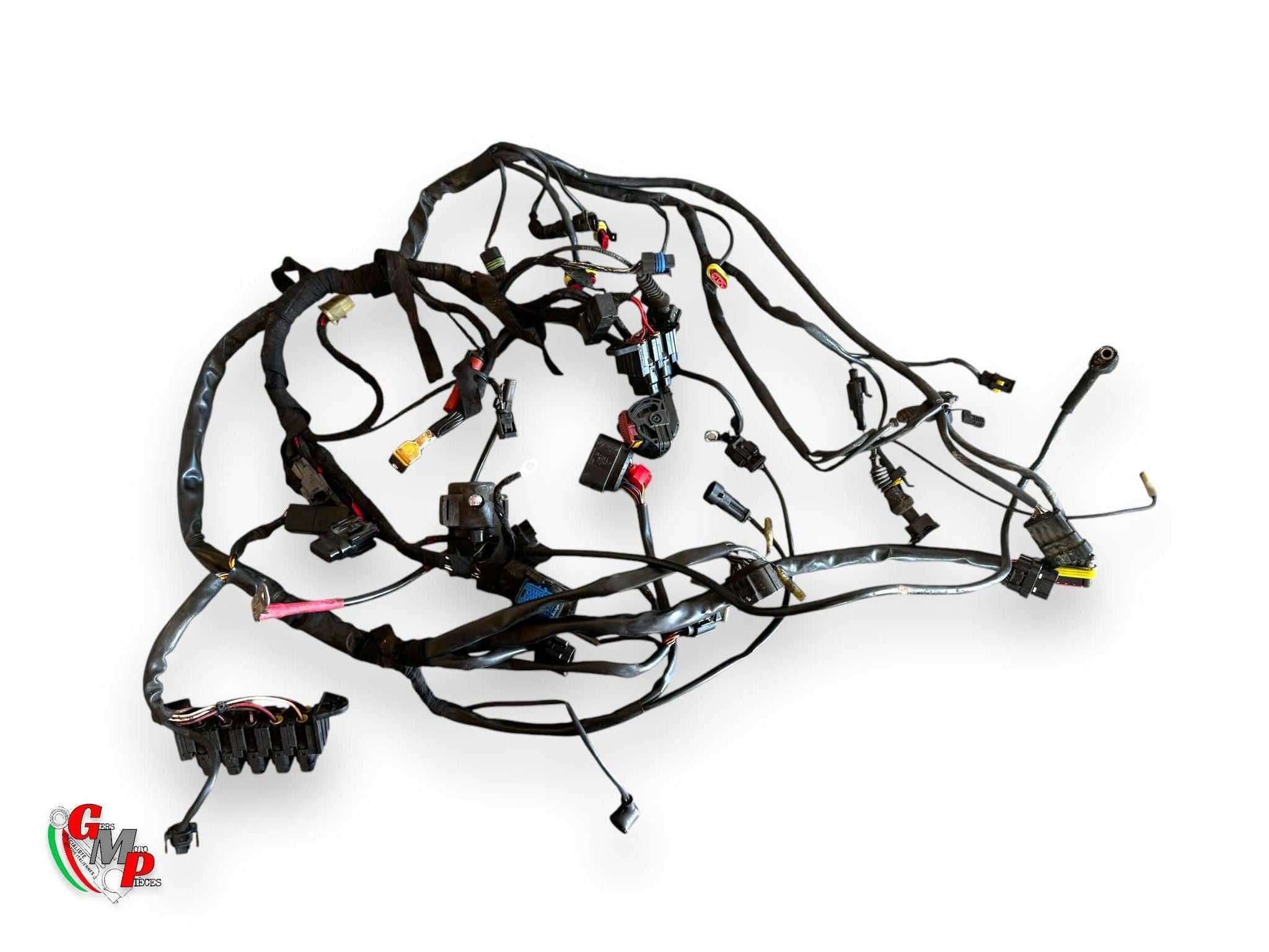 Faisceau électrique - Ducati