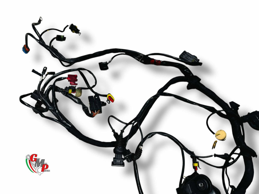 Faisceau Electrique - Ducati