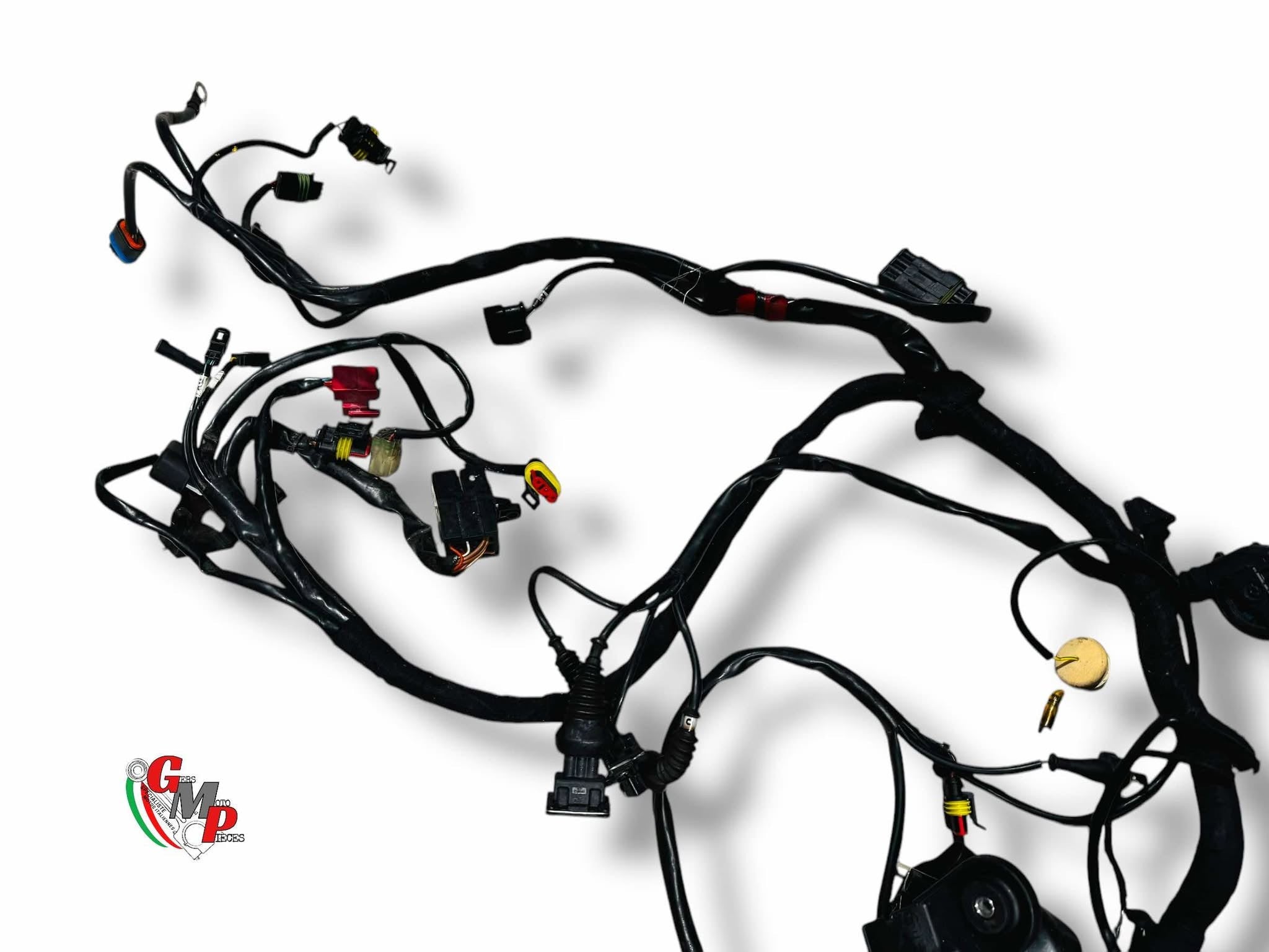 Faisceau Electrique - Ducati