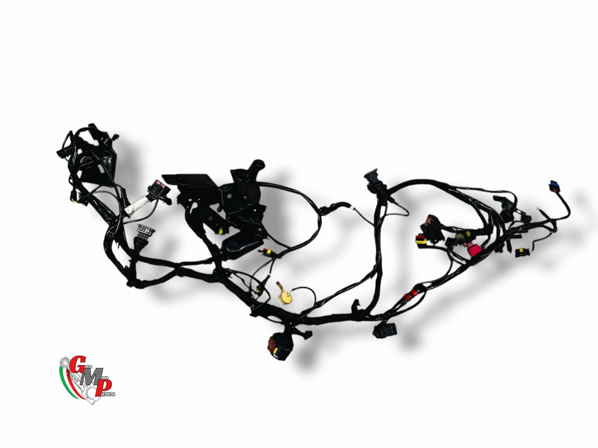 Faisceau Electrique - Ducati