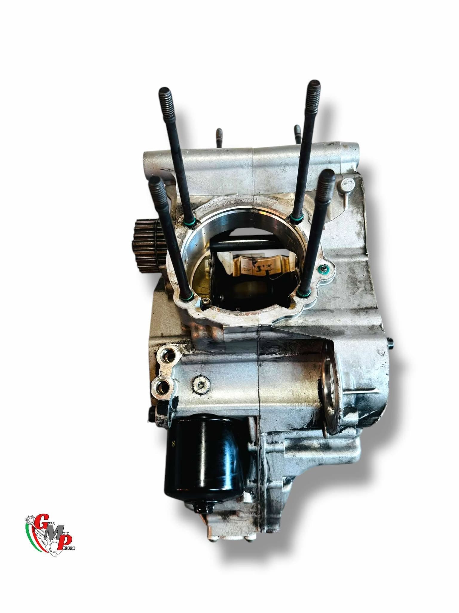 Paire de Carters Moteurs - Ducati