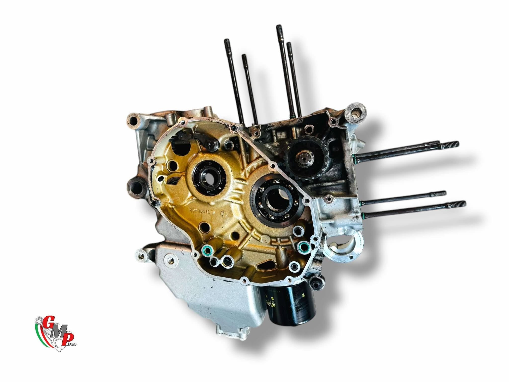 Paire de Carters Moteurs - Ducati