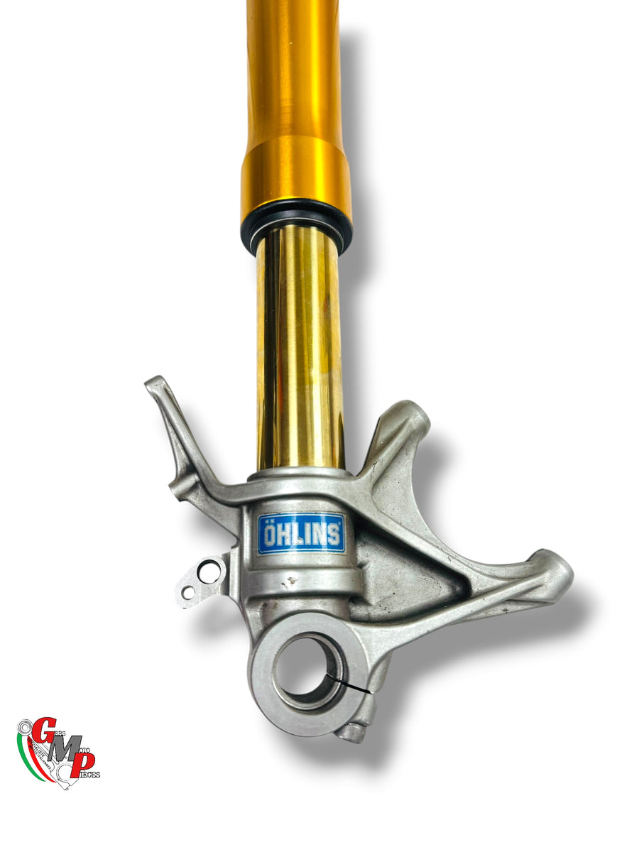 Ensemble Fourche Gauche ölhins - Ducati