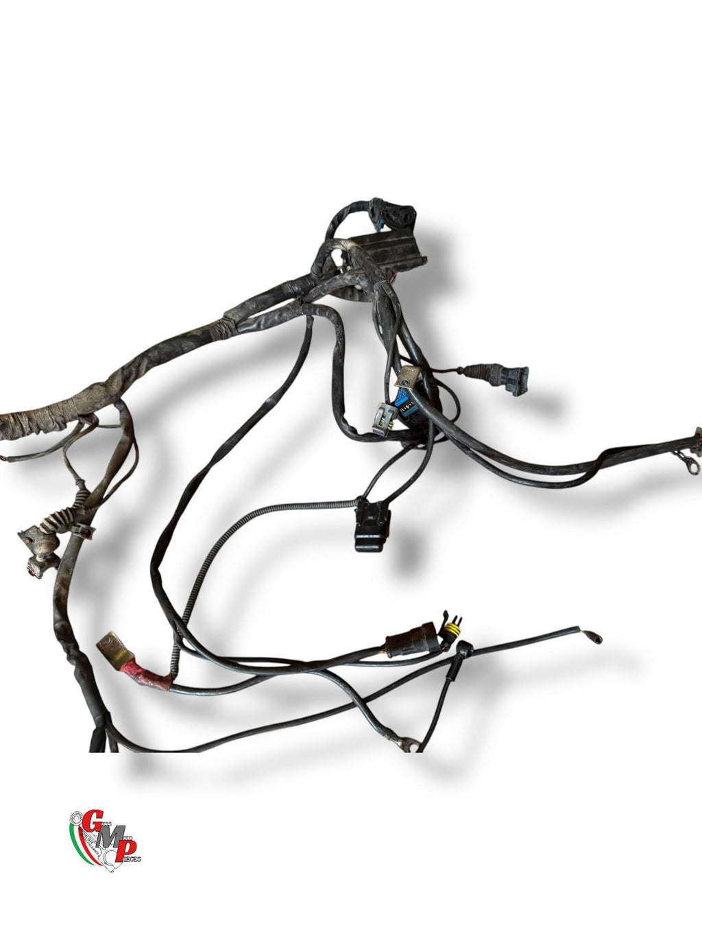 Faisceau Electrique Principal - Ducati