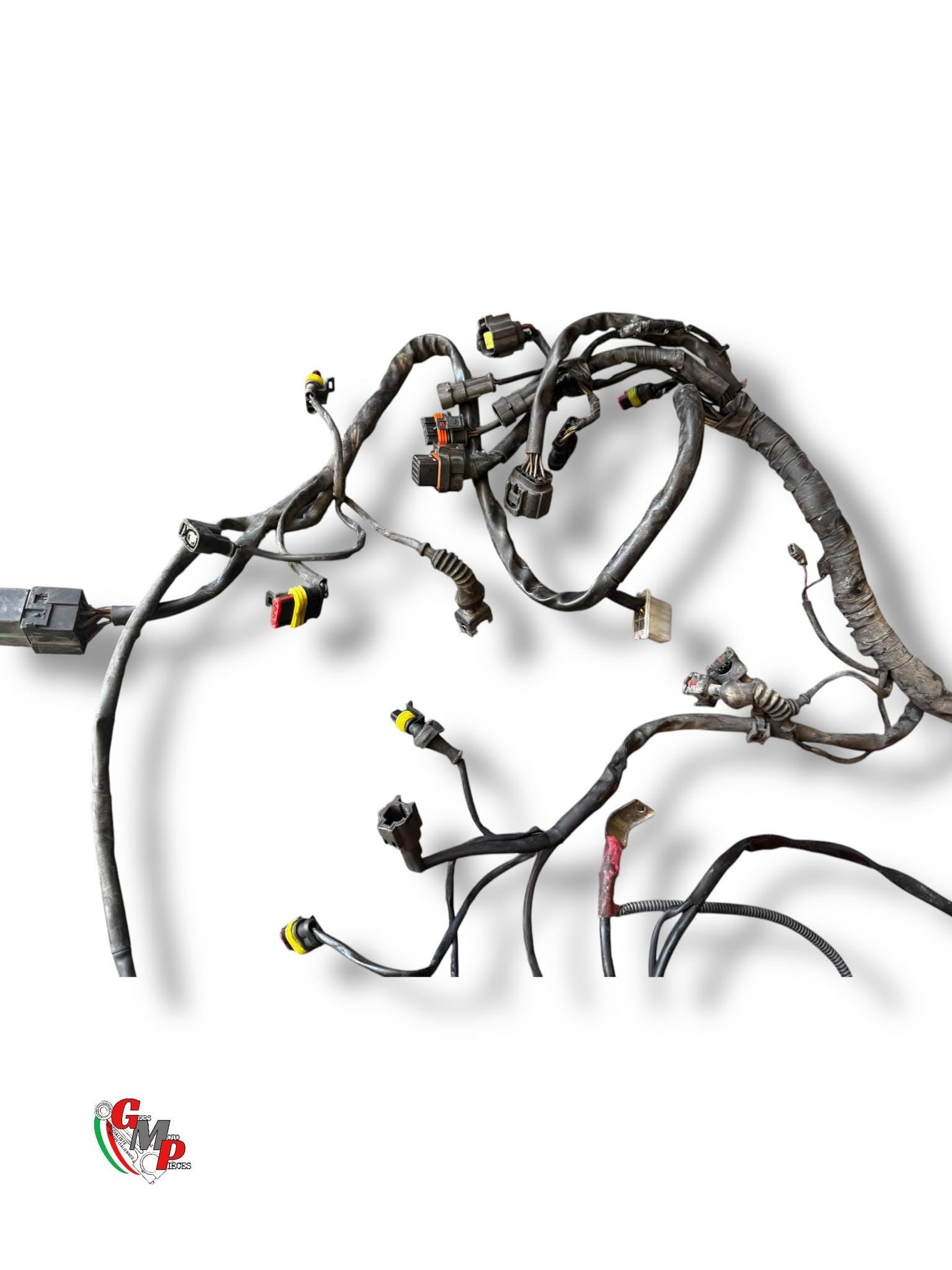 Faisceau Electrique Principal - Ducati