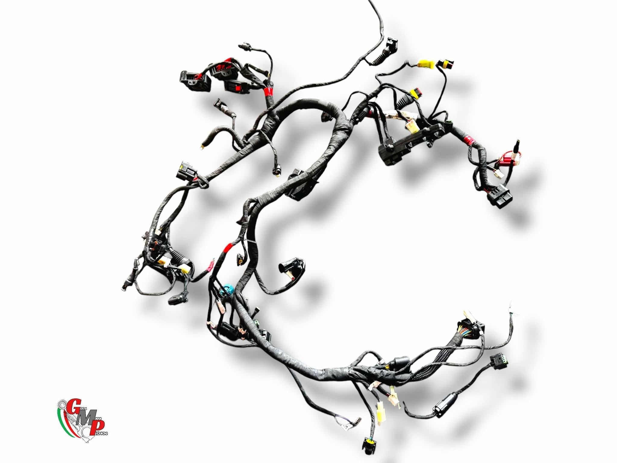 Faisceau Electrique Principal - Ducati