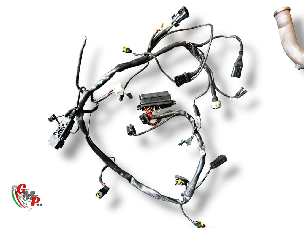 Faisceau électrique - Ducati