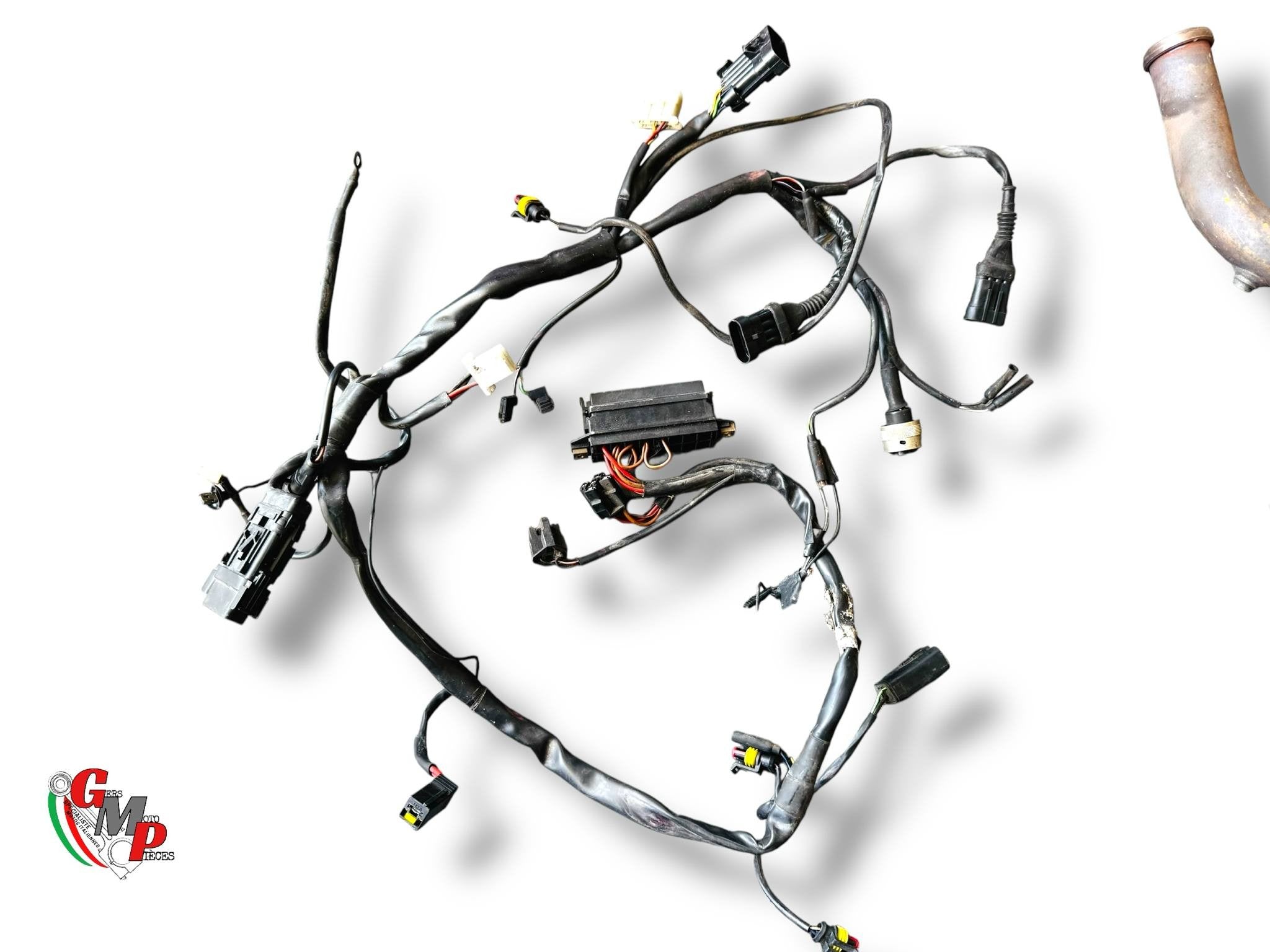 Faisceau électrique - Ducati