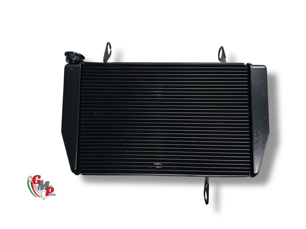 Radiateur D'eau Contrôlé et Reconditionné - Ducati