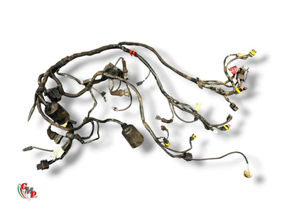 Faisceau Electrique - Ducati