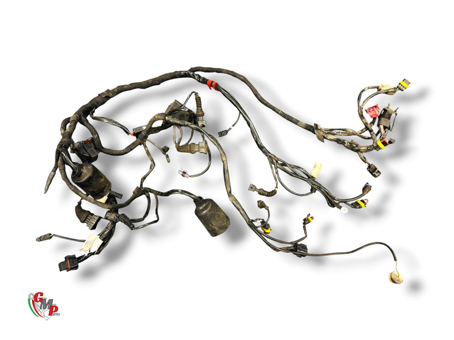 Faisceau Electrique - Ducati