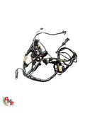 Cablage Faisceau Electrique Principal Arrière - Ducati