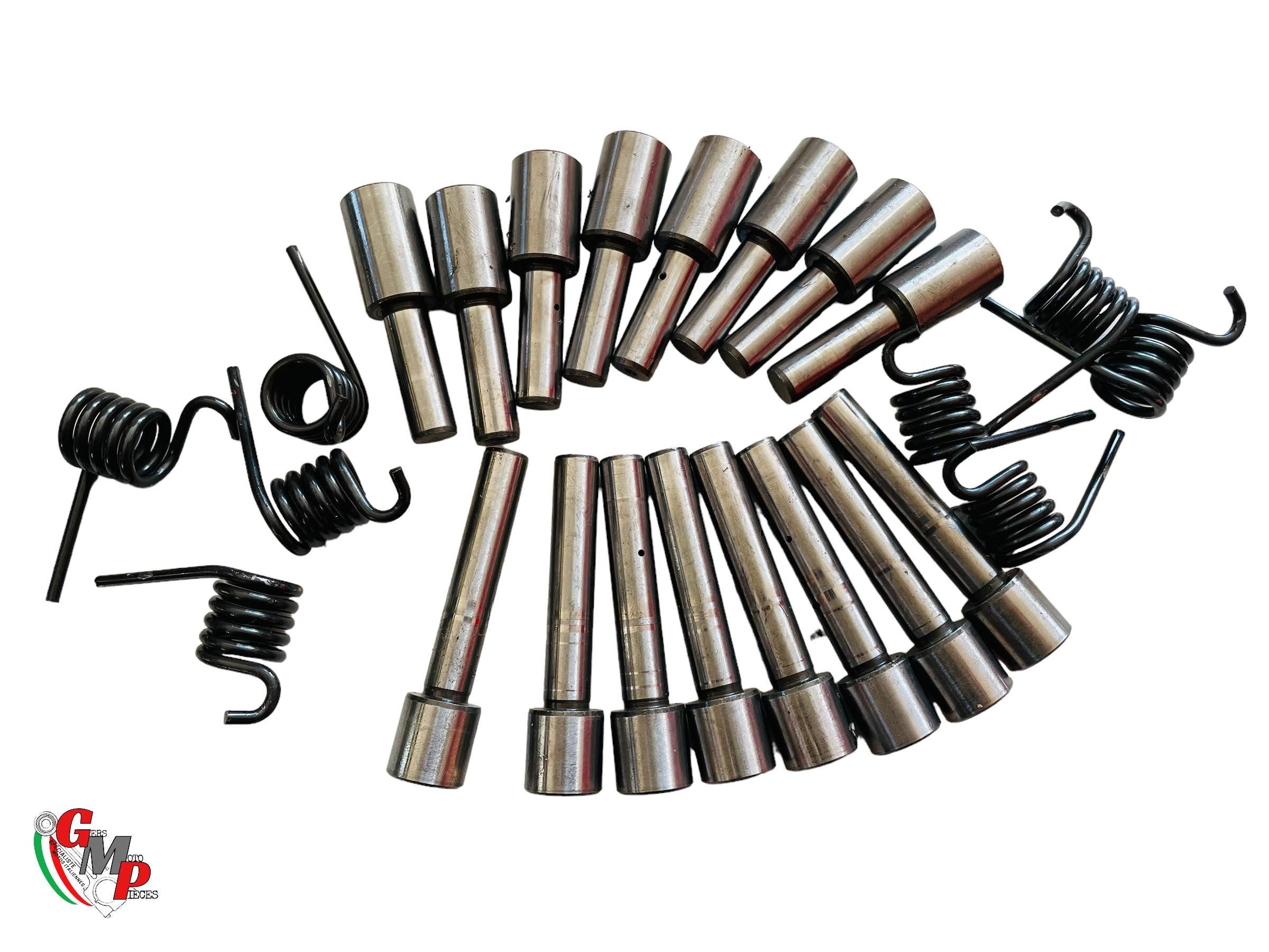 Ensemble Axe et Ressort Basculeur/Linguets - Ducati