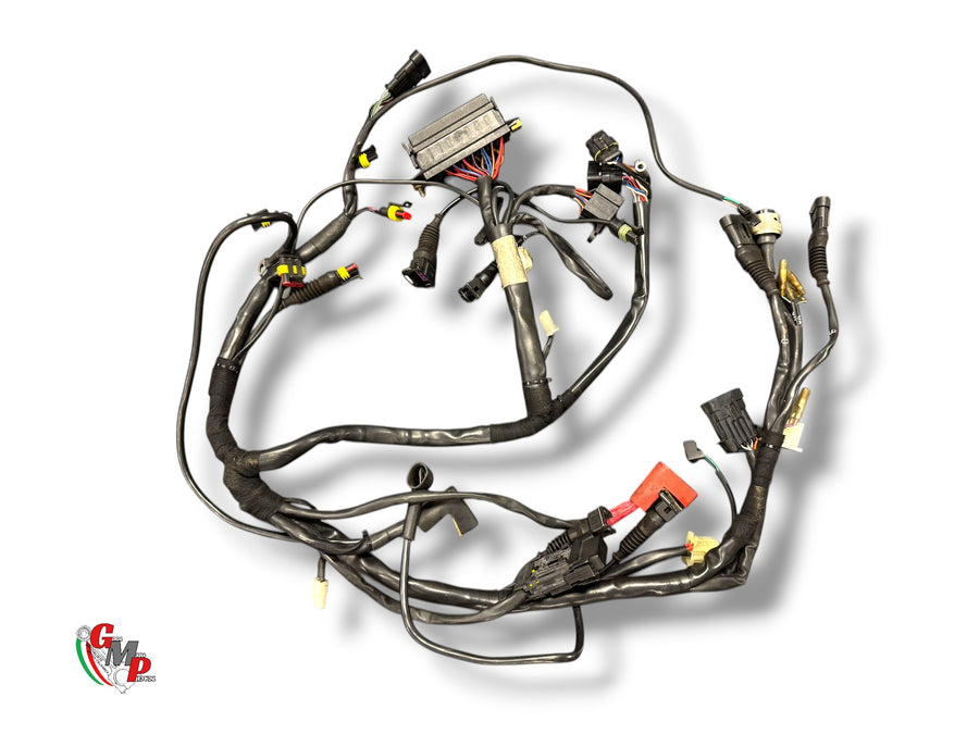 Faisceau Electrique - Ducati