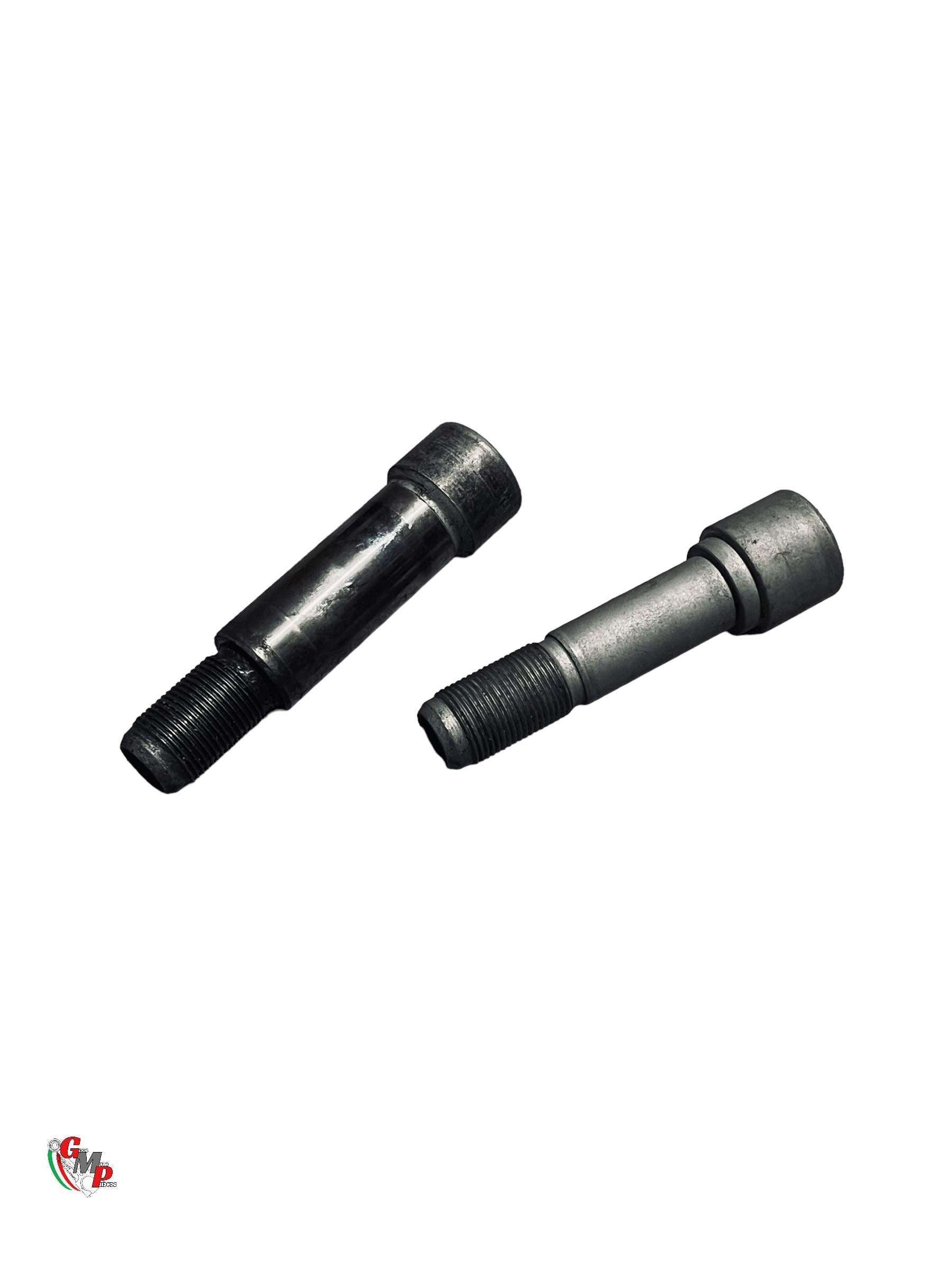 Paire d'Axe Moteur et Monobras - Ducati