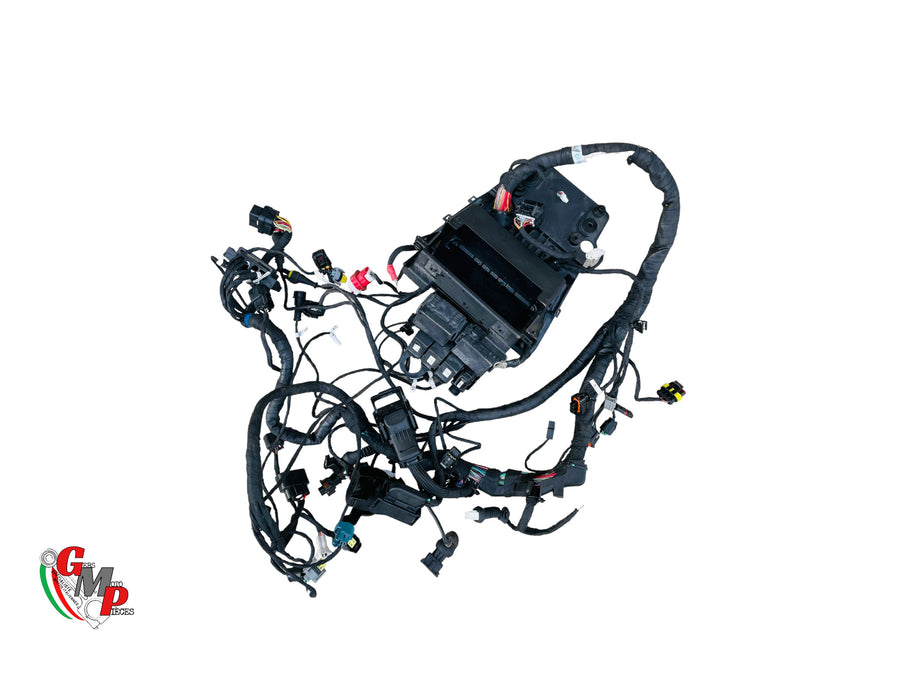 Faisceau Electrique Principal Complet - Ducati