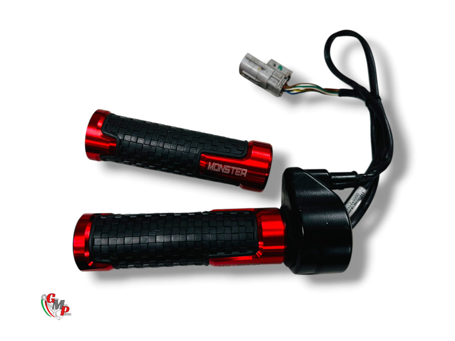 Ensemble Controle Gaz Ride By Wire - Ducati