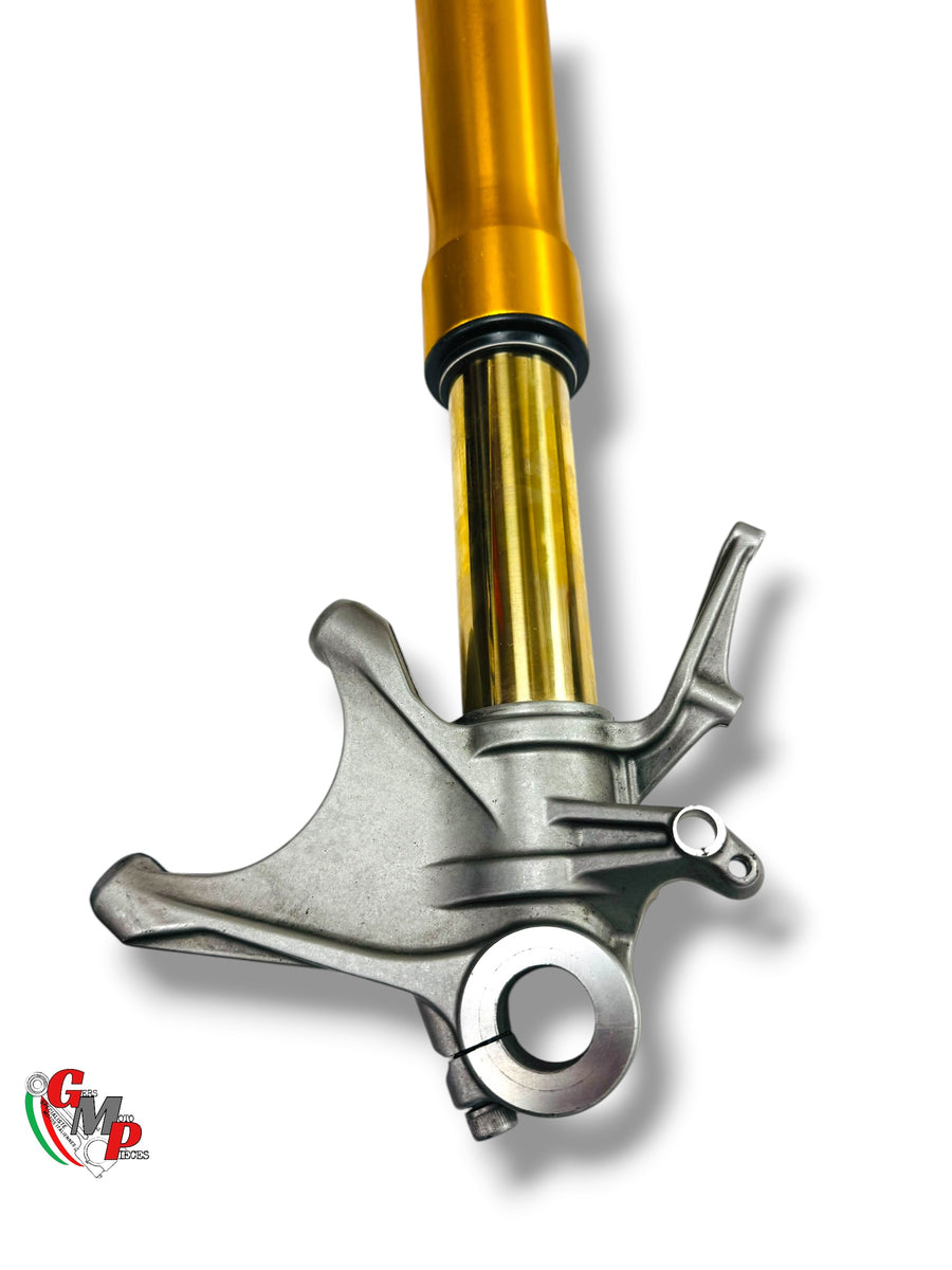 Ensemble Fourche Gauche ölhins - Ducati