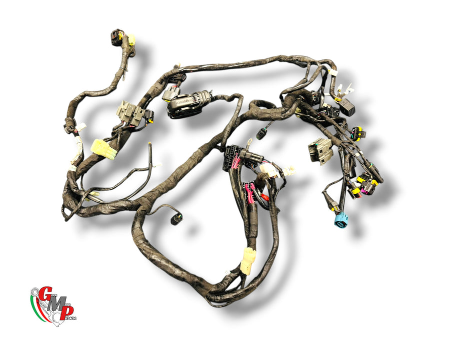 Faisceau Principal Complet - Ducati