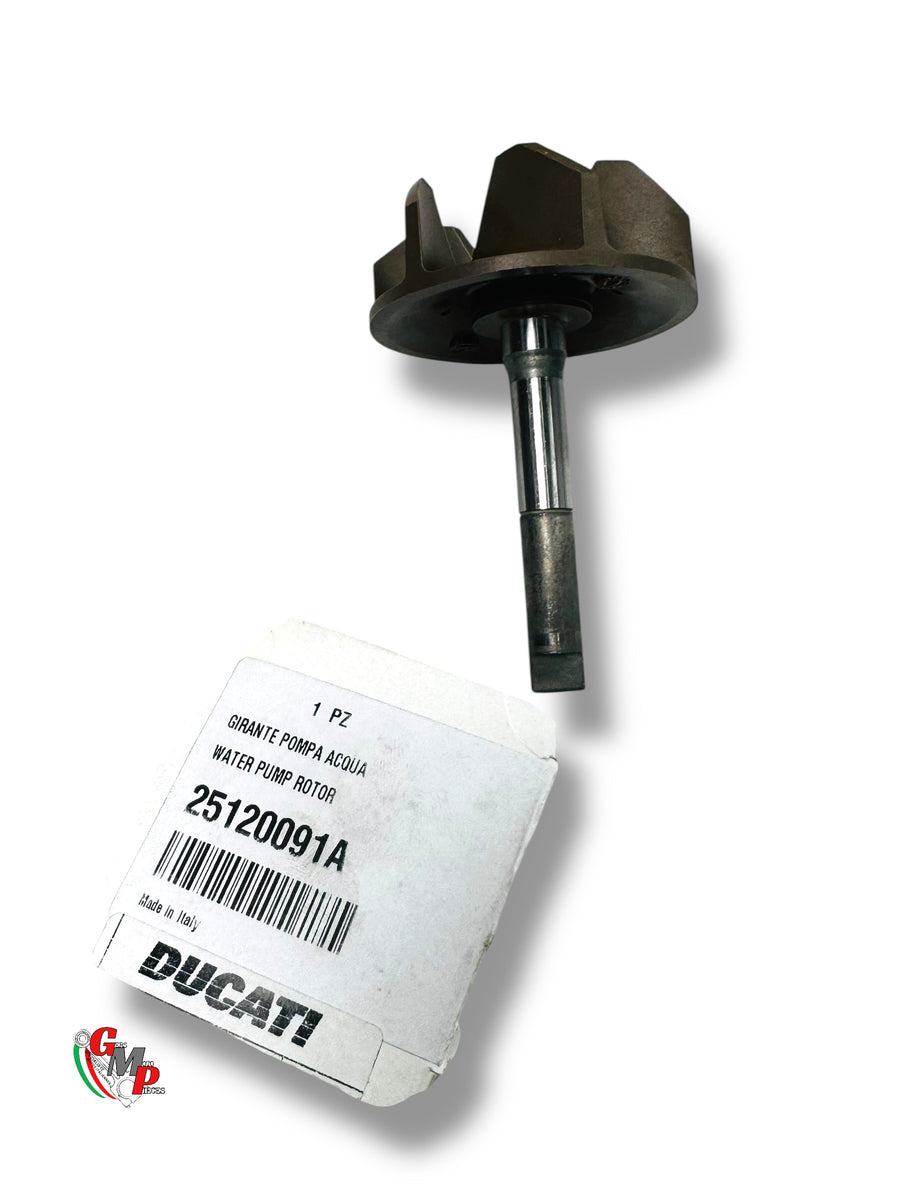 Pignon Pompe à Eau NEUF - Ducati