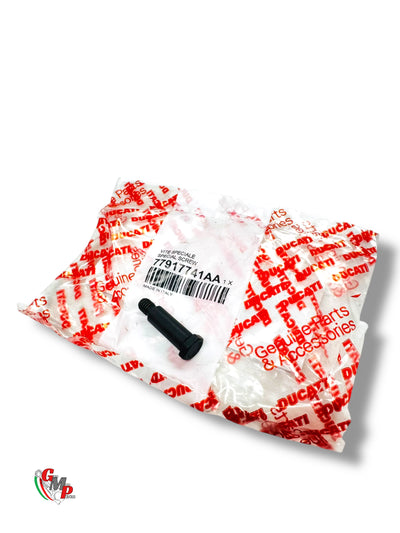 Vis Special Fixation Levier Embrayage NEUVE - Ducati