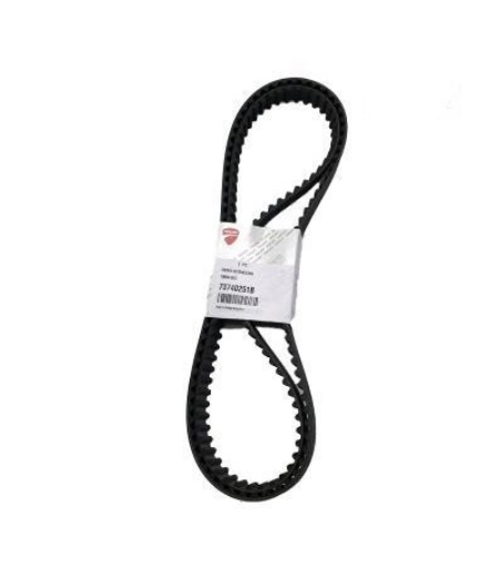 Paire de courroies de Distribution Ducati origine NEUVE - Ducati