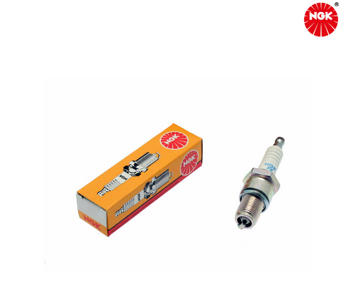 Bougie NGK NEUVE - Ducati