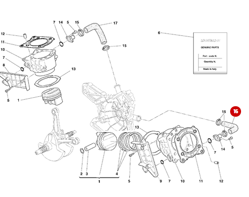 Manchon Durite Entree Eau Cylindre Horizontal NEUF - Ducati