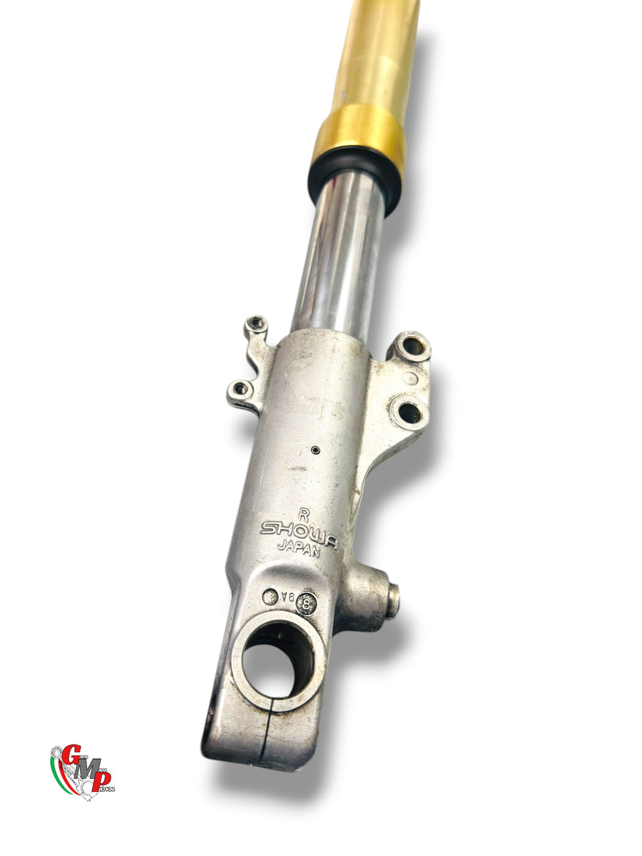 Fourche Complete Droit - Ducati