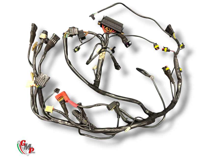 Faisceau Electrique - Ducati