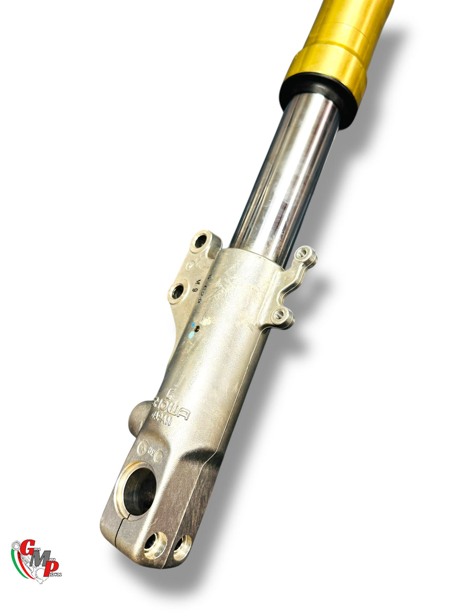 Fourche Complete Gauche - Ducati