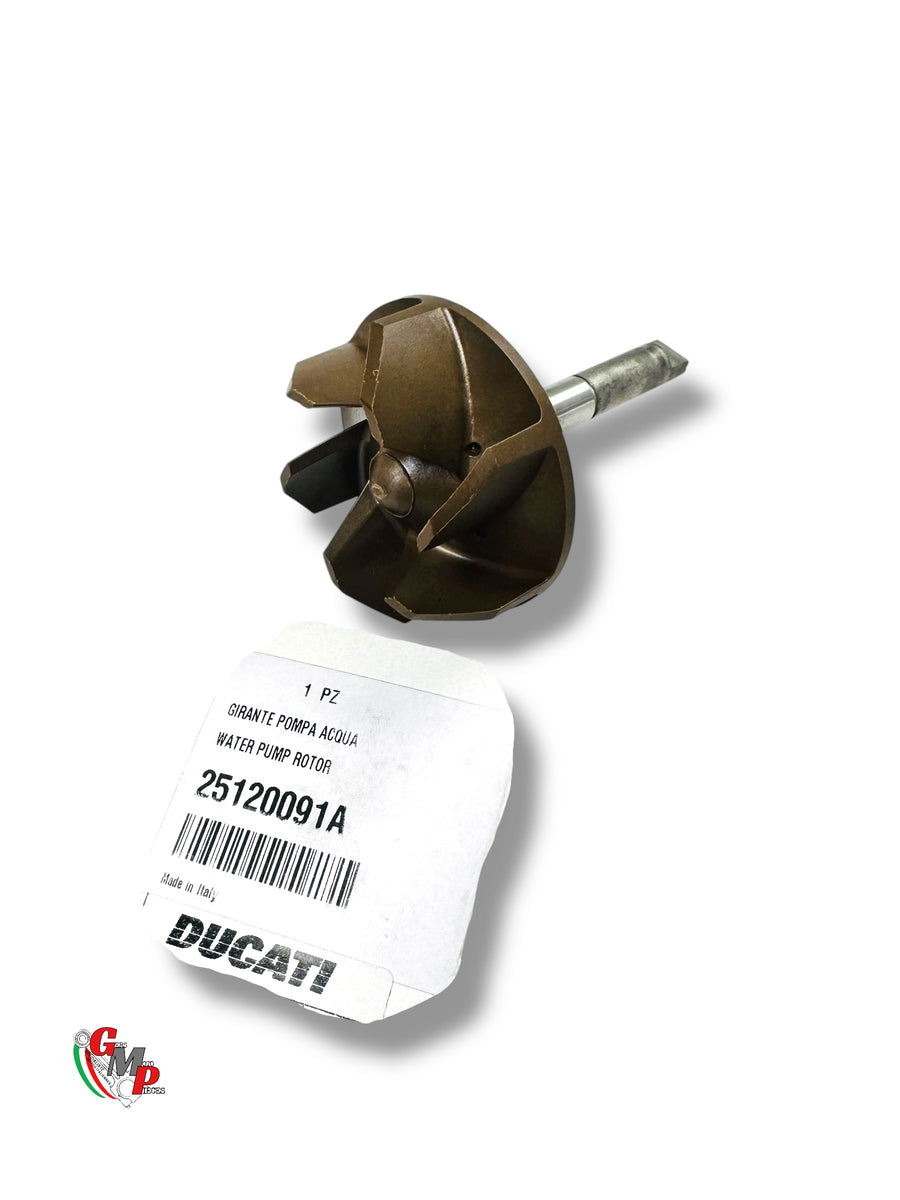 Pignon Pompe à Eau NEUF - Ducati
