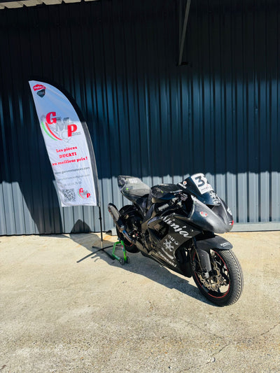 Kawasaki ZX10R 2009 PISTE