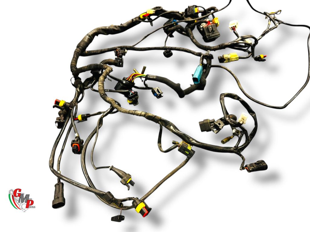 Faisceau Electrique - Ducati