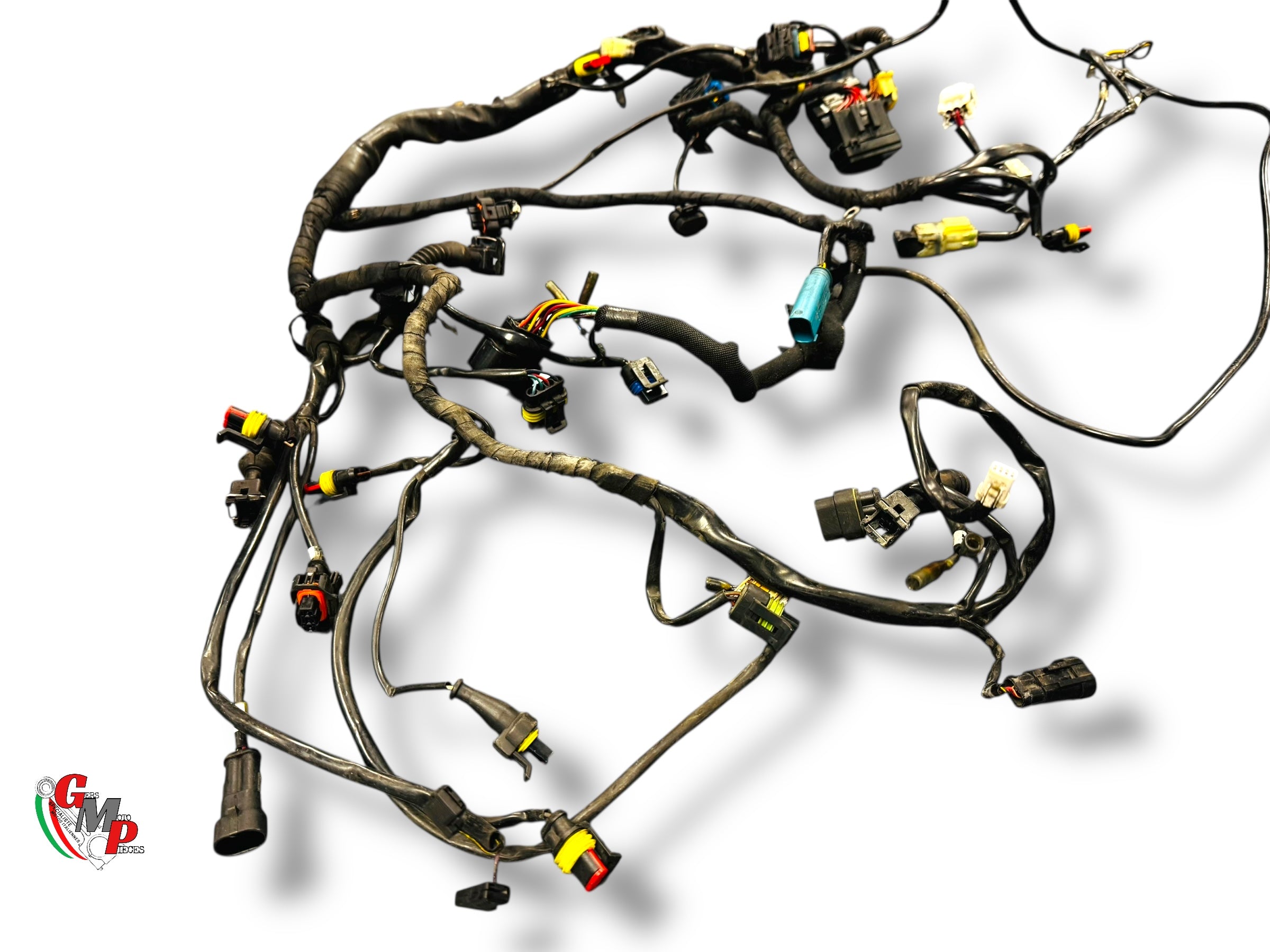 Faisceau Electrique - Ducati