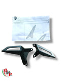 Paire de Pare Talon Gauche Carbone DP NEUF - Ducati