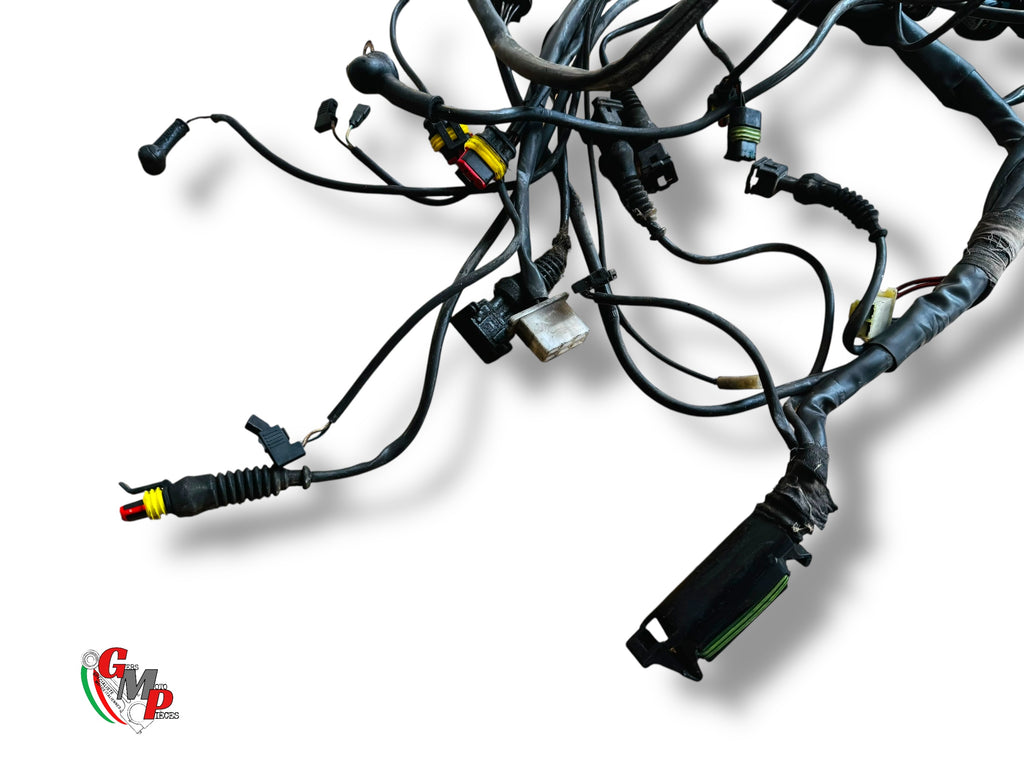 Faisceau électrique principale - Ducati