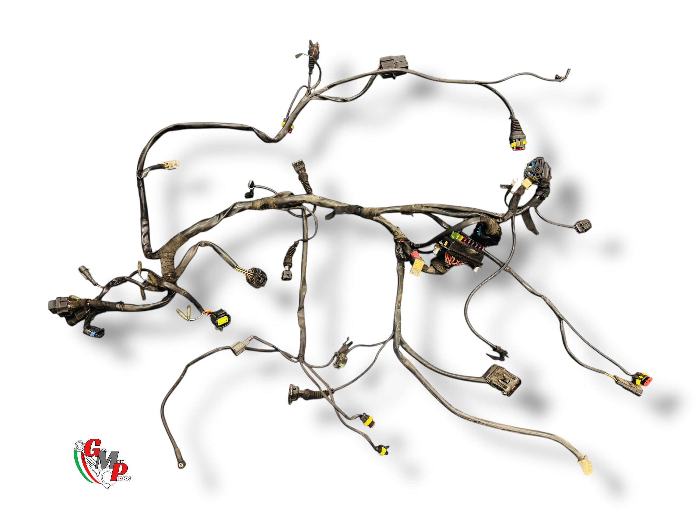 Faisceau électrique complet - Ducati